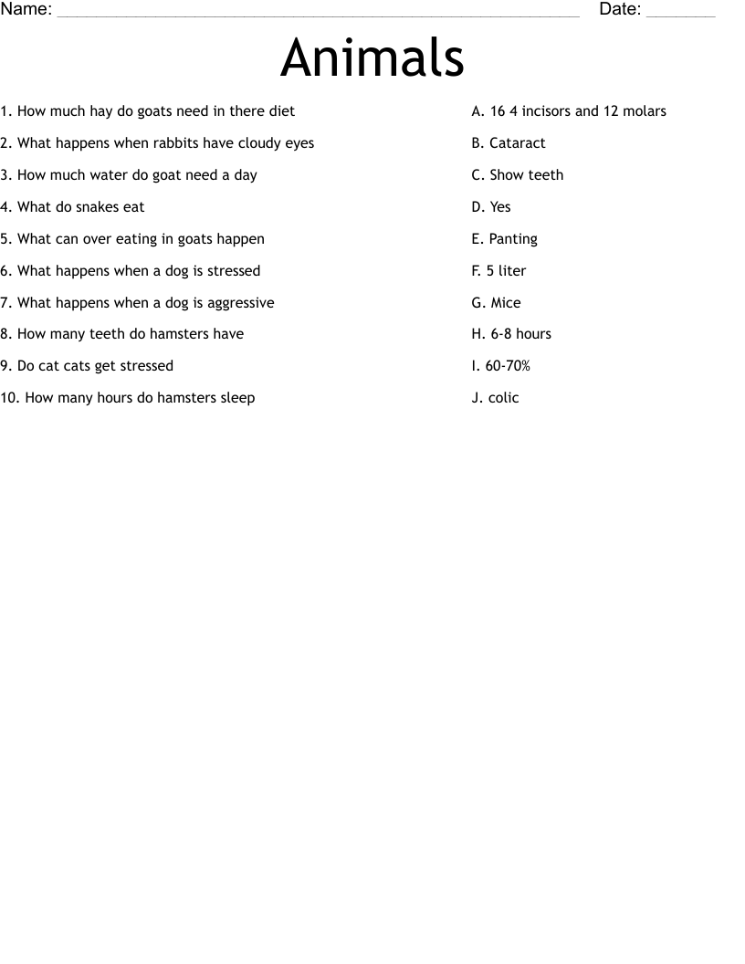 Animals Worksheet