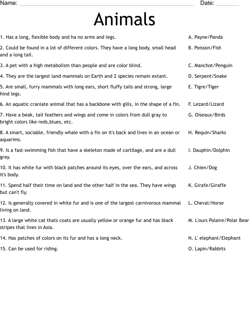 Animals Worksheet