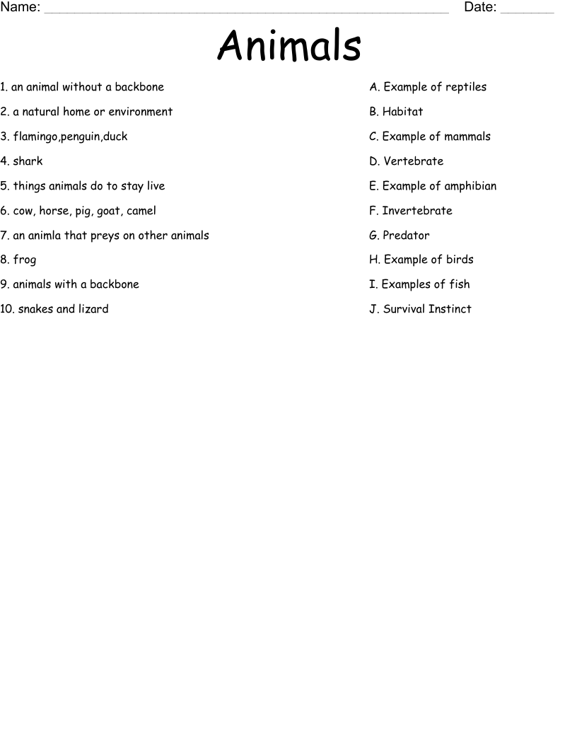 Animals Worksheet