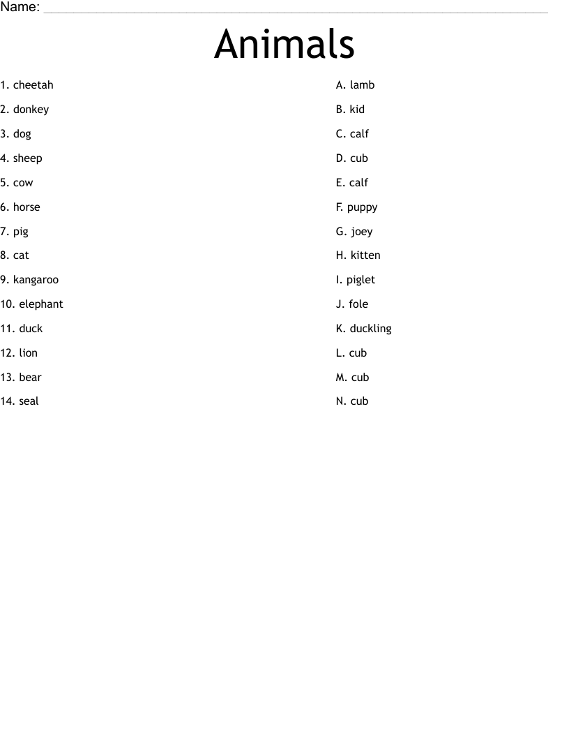 Animals Worksheet