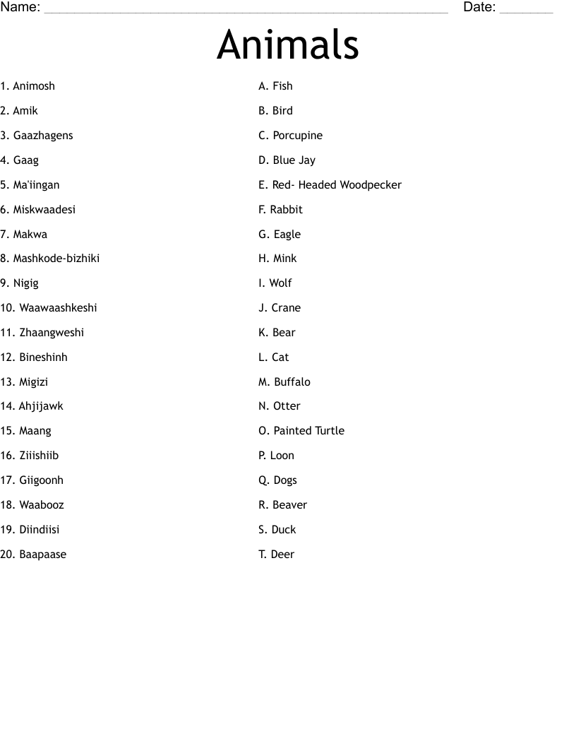 Animals  Worksheet