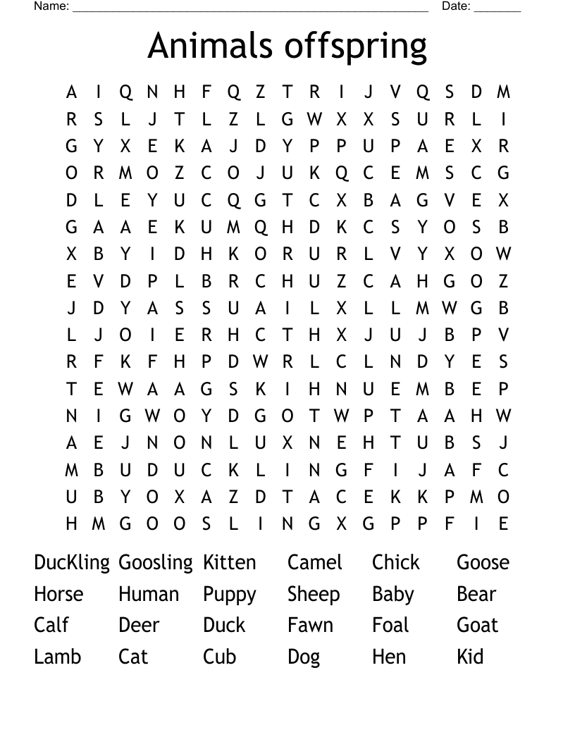 Animals offspring Word Search