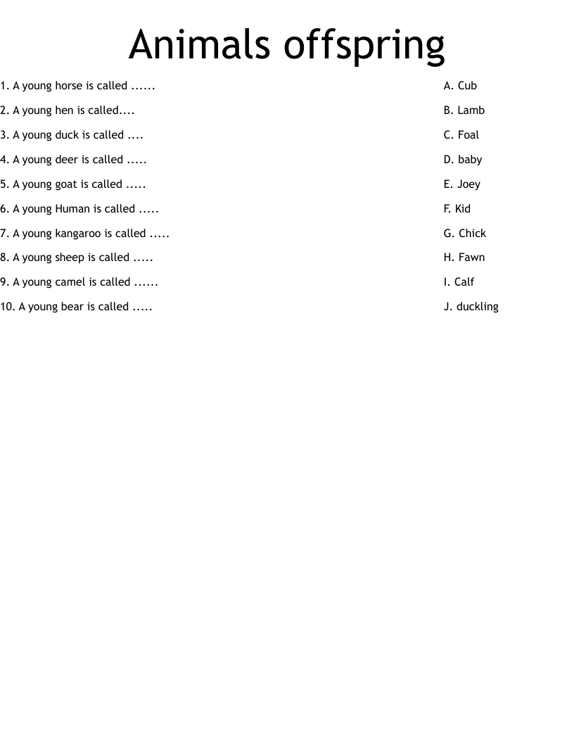 Animals offspring Worksheet