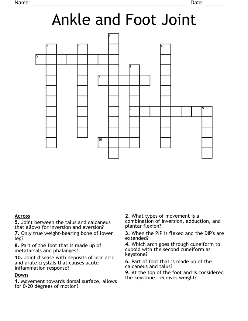 Ankle and Foot Joint  Crossword