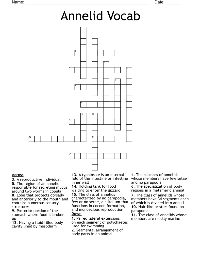 Annelid Vocab Crossword