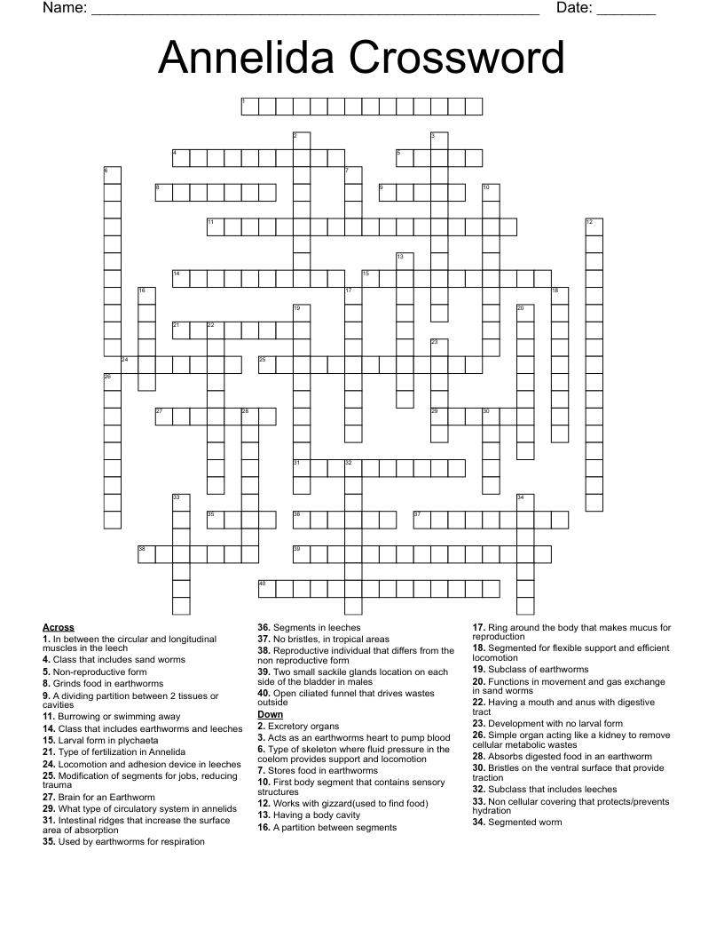 Annelida Crossword