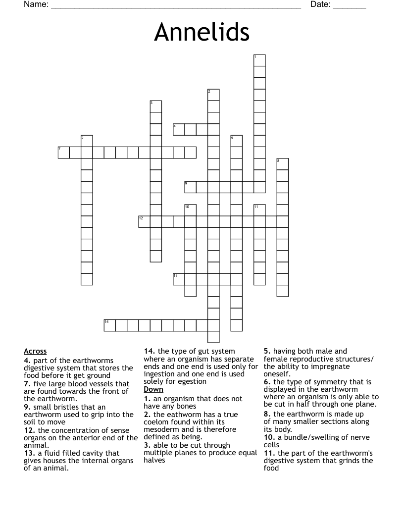 Annelids Crossword