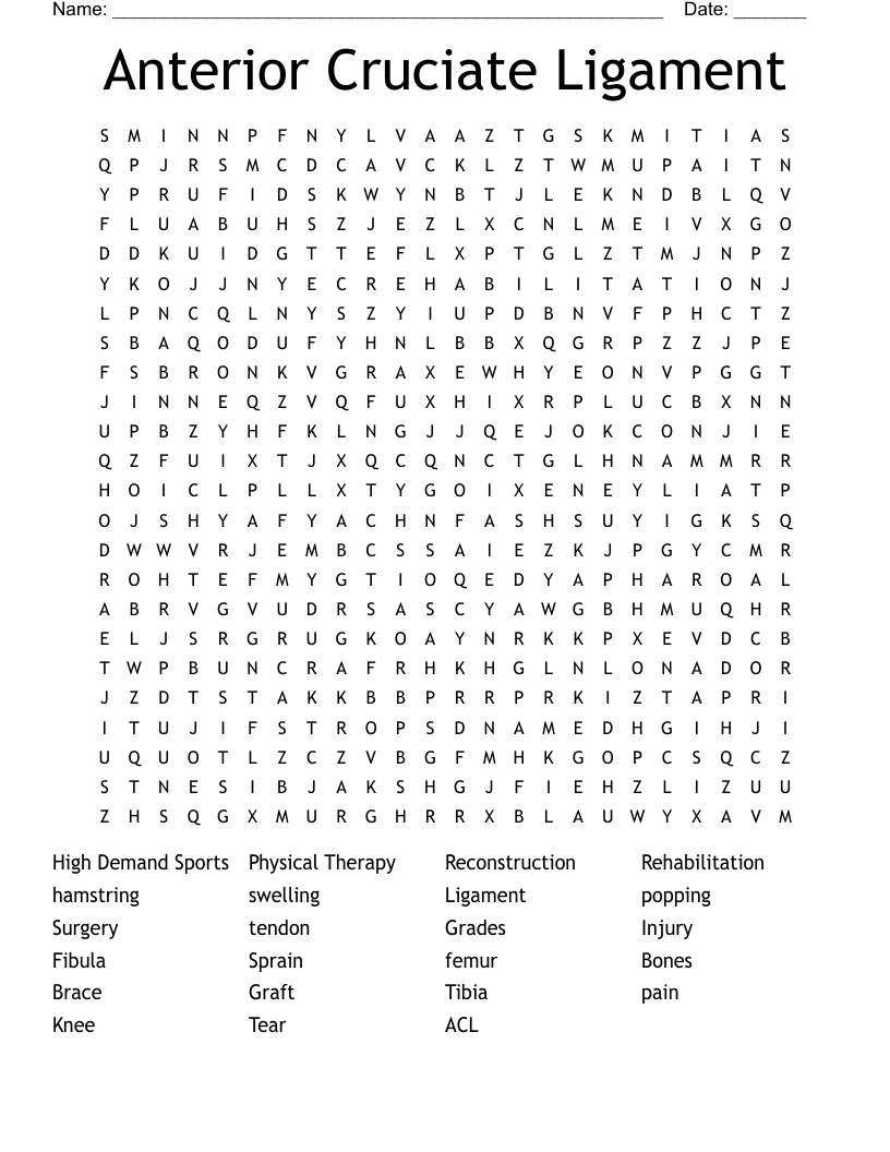 Anterior Cruciate Ligament Word Search