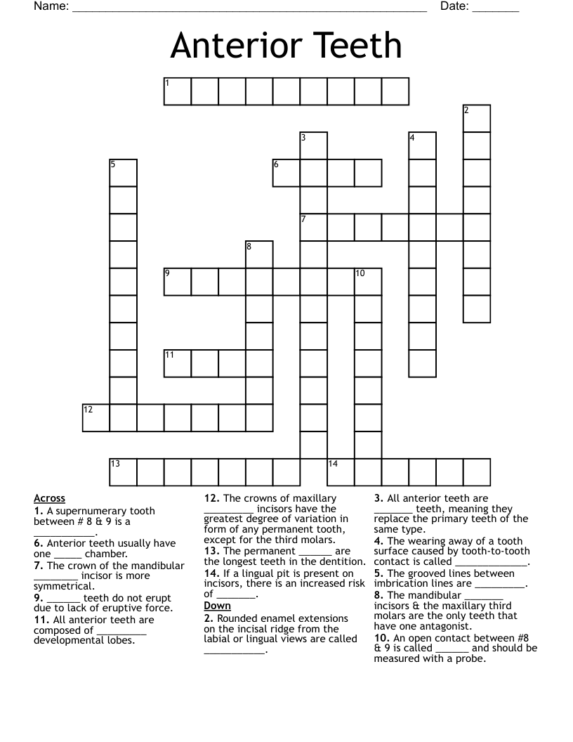 Anterior Teeth Crossword