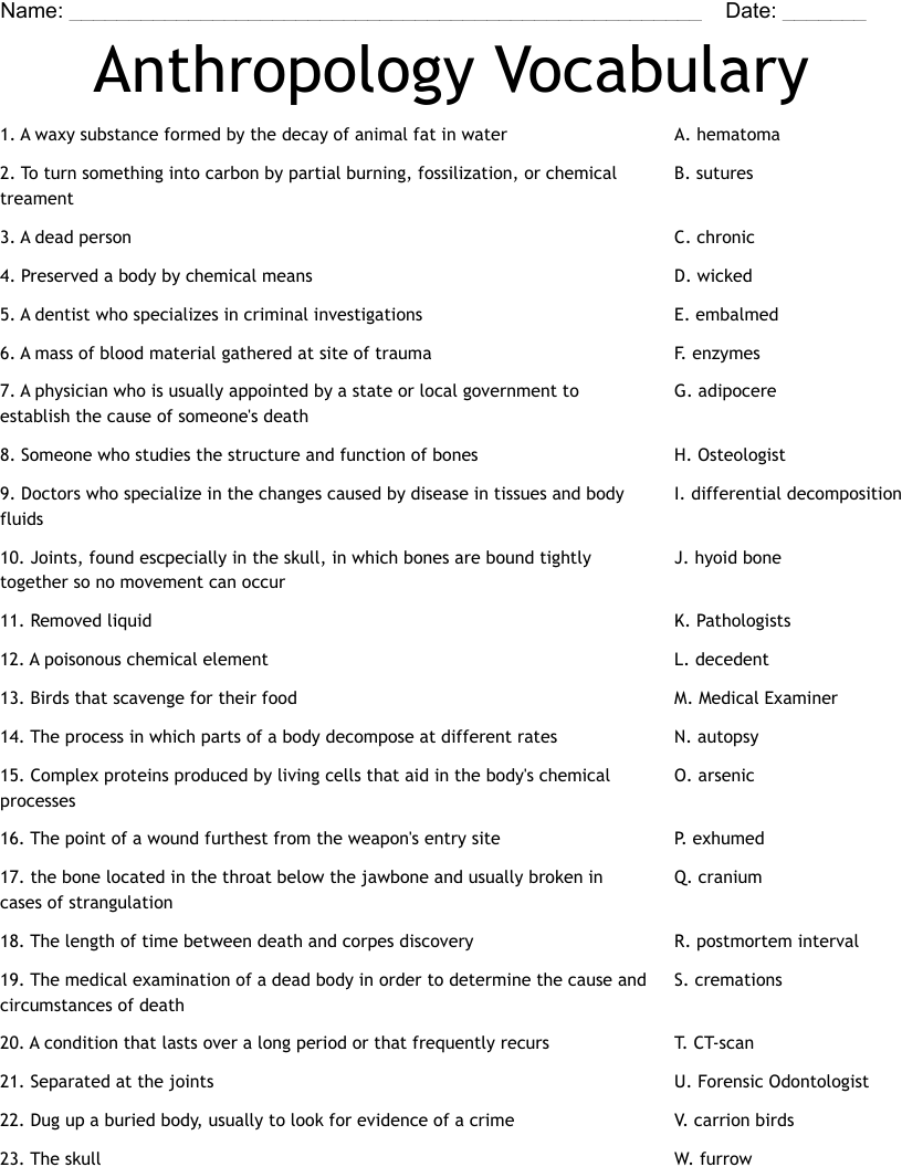 Anthropology Vocabulary Worksheet