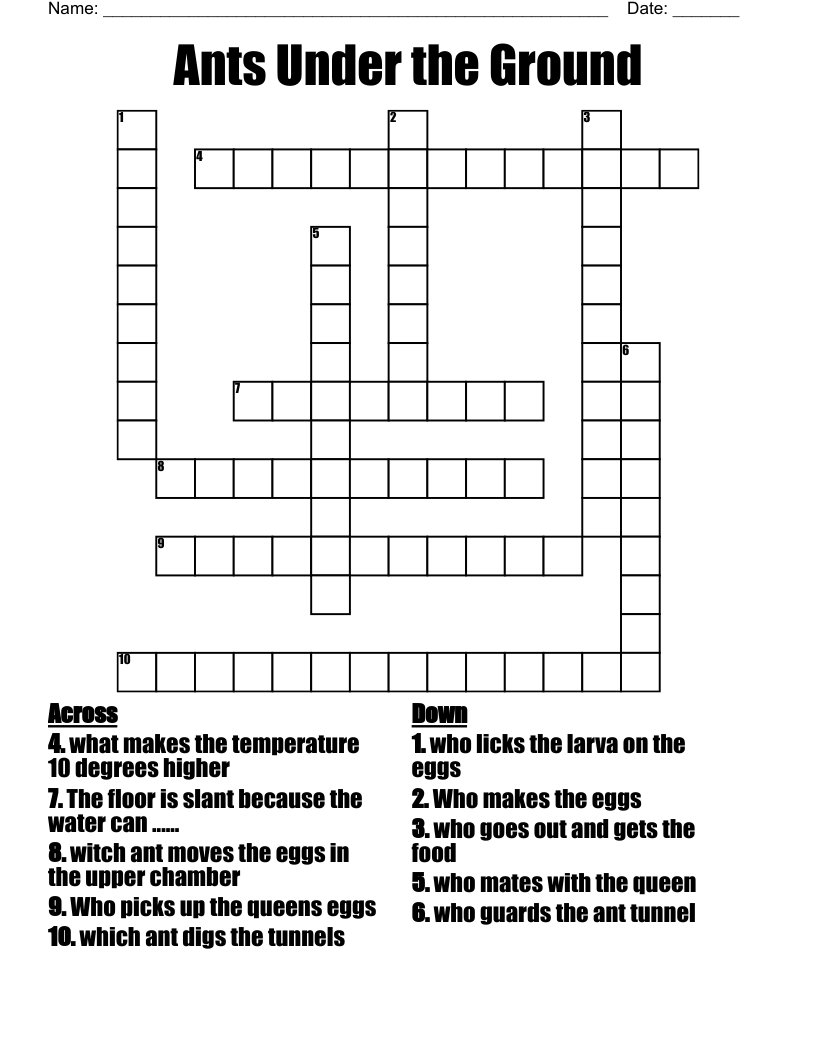 Ants Under the Ground Crossword