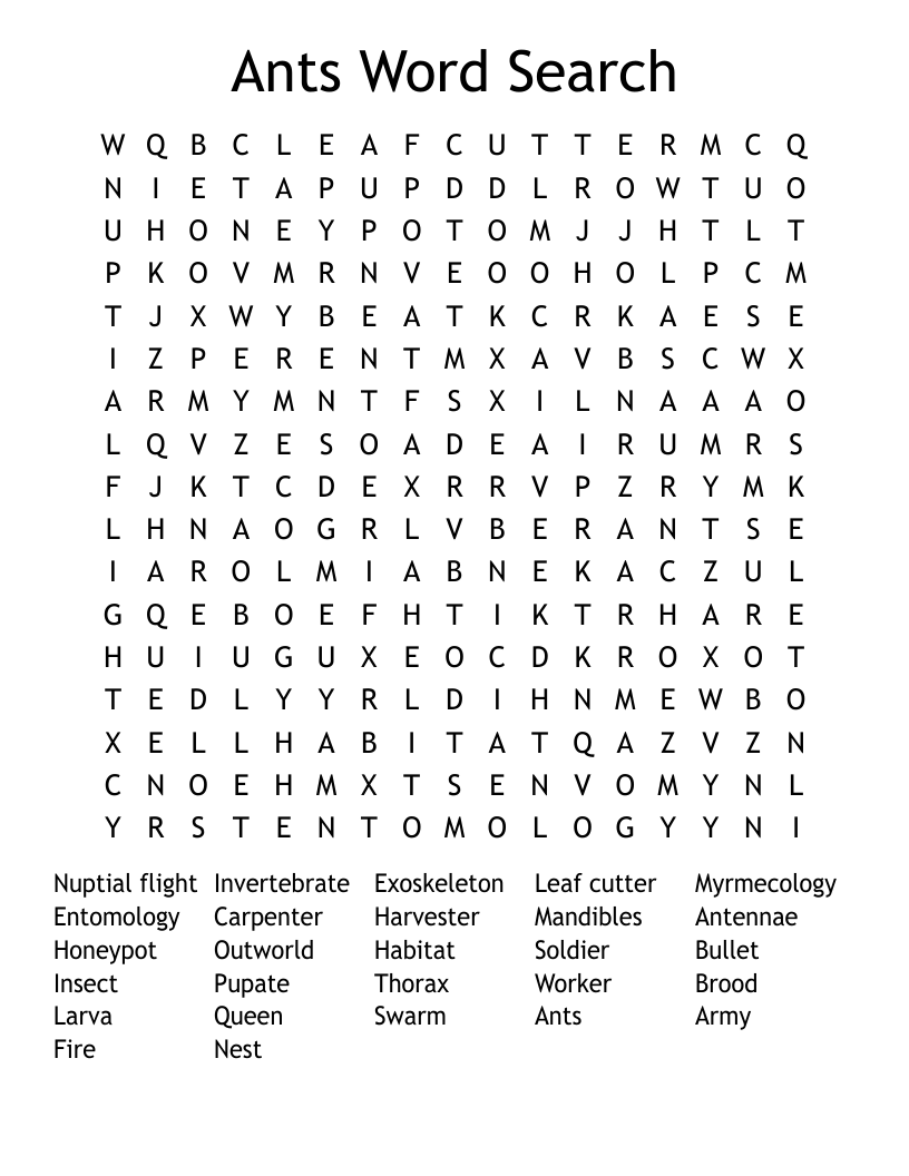 Ants Word Search