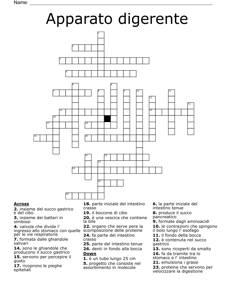 Apparato digerente Crossword