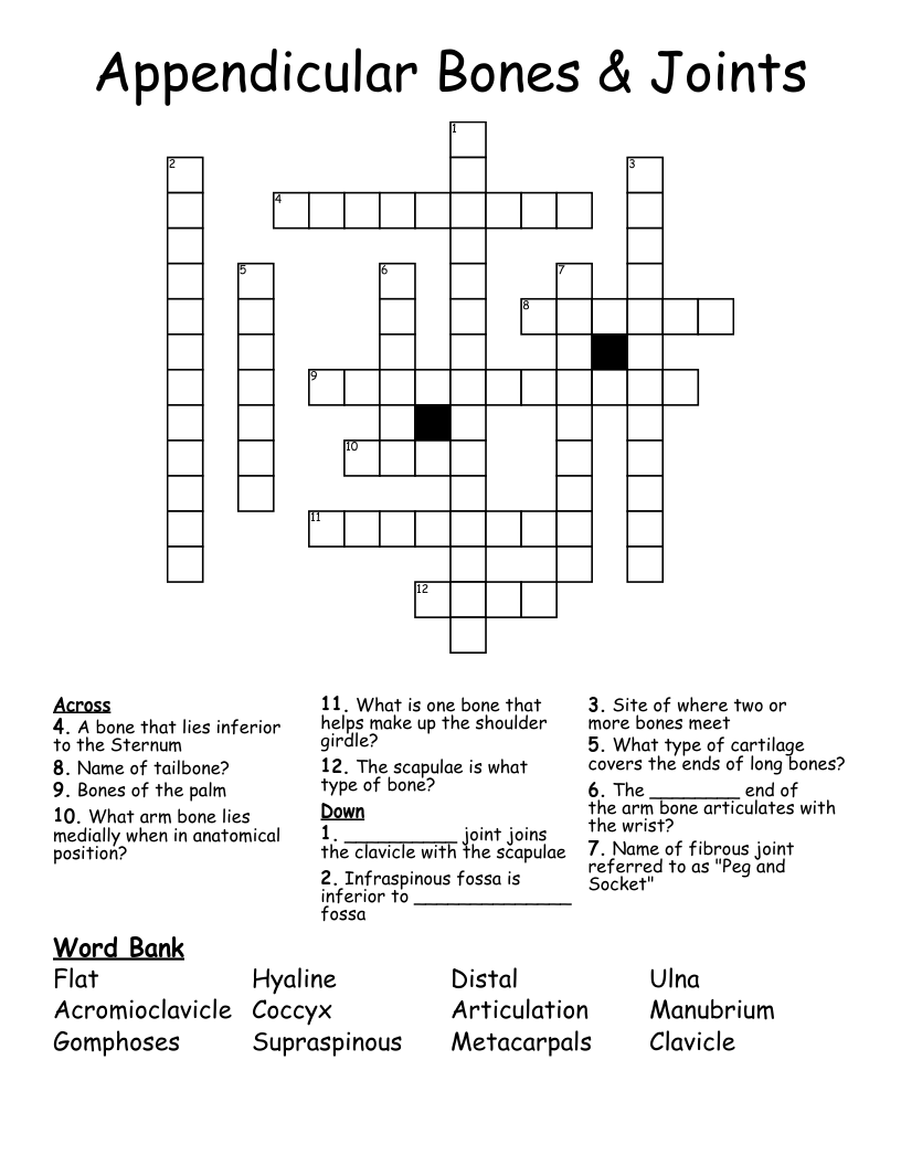 Appendicular Bones & Joints Crossword