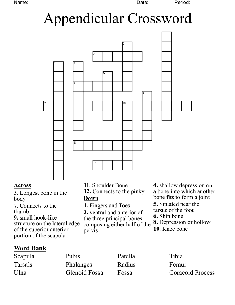 Appendicular Crossword