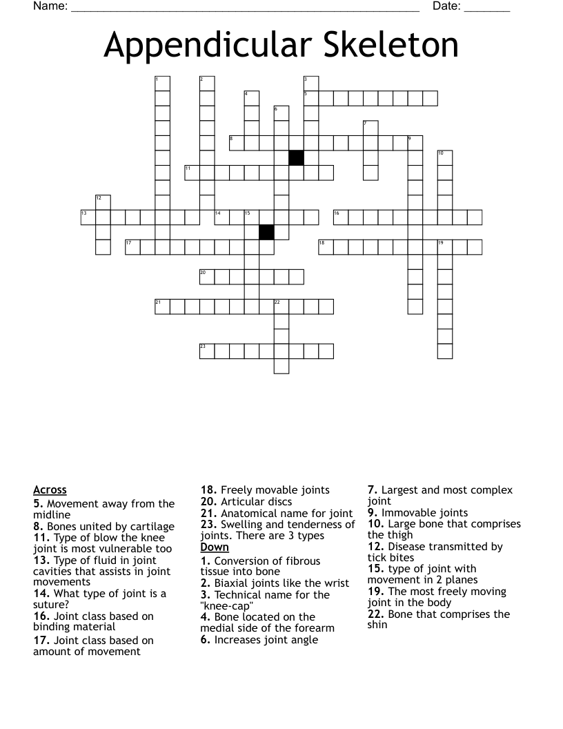 Appendicular Skeleton Crossword