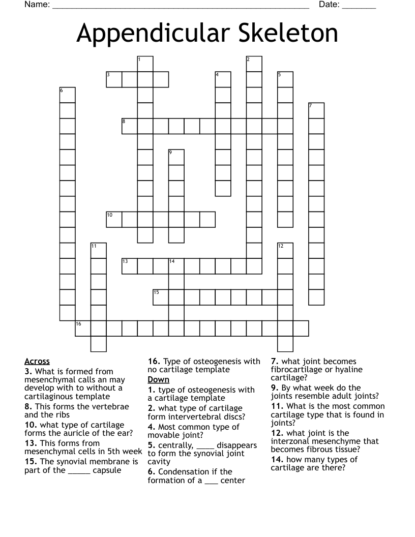 Appendicular Skeleton  Crossword