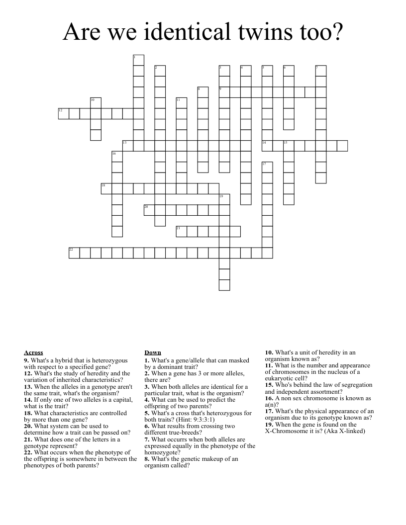 Are we identical twins too? Crossword
