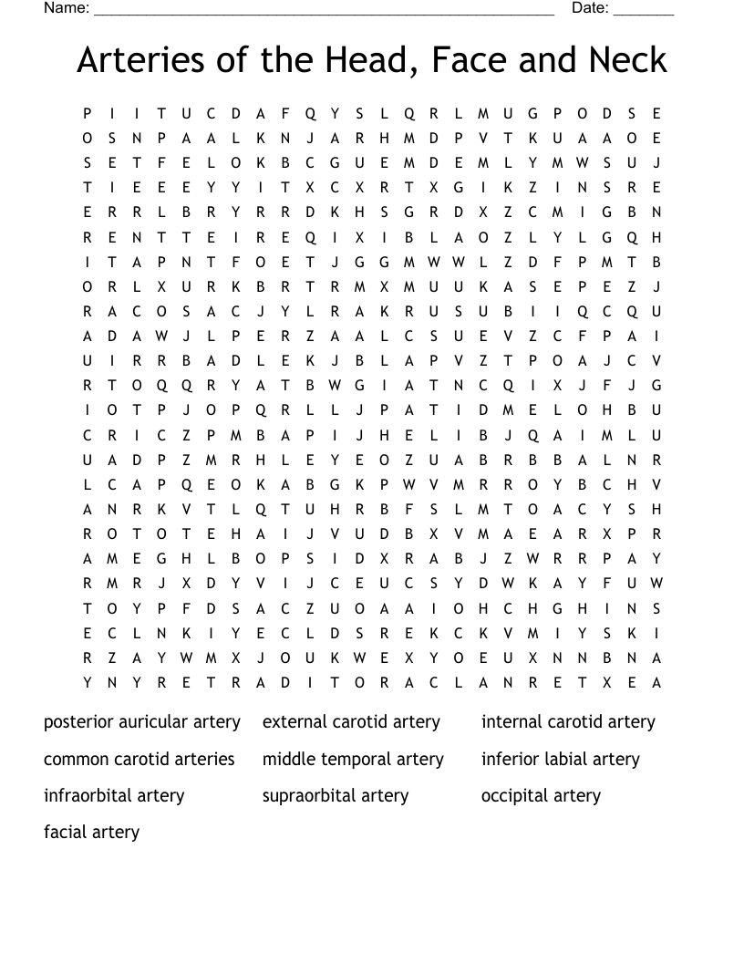 Arteries of the Head, Face and Neck Word Search