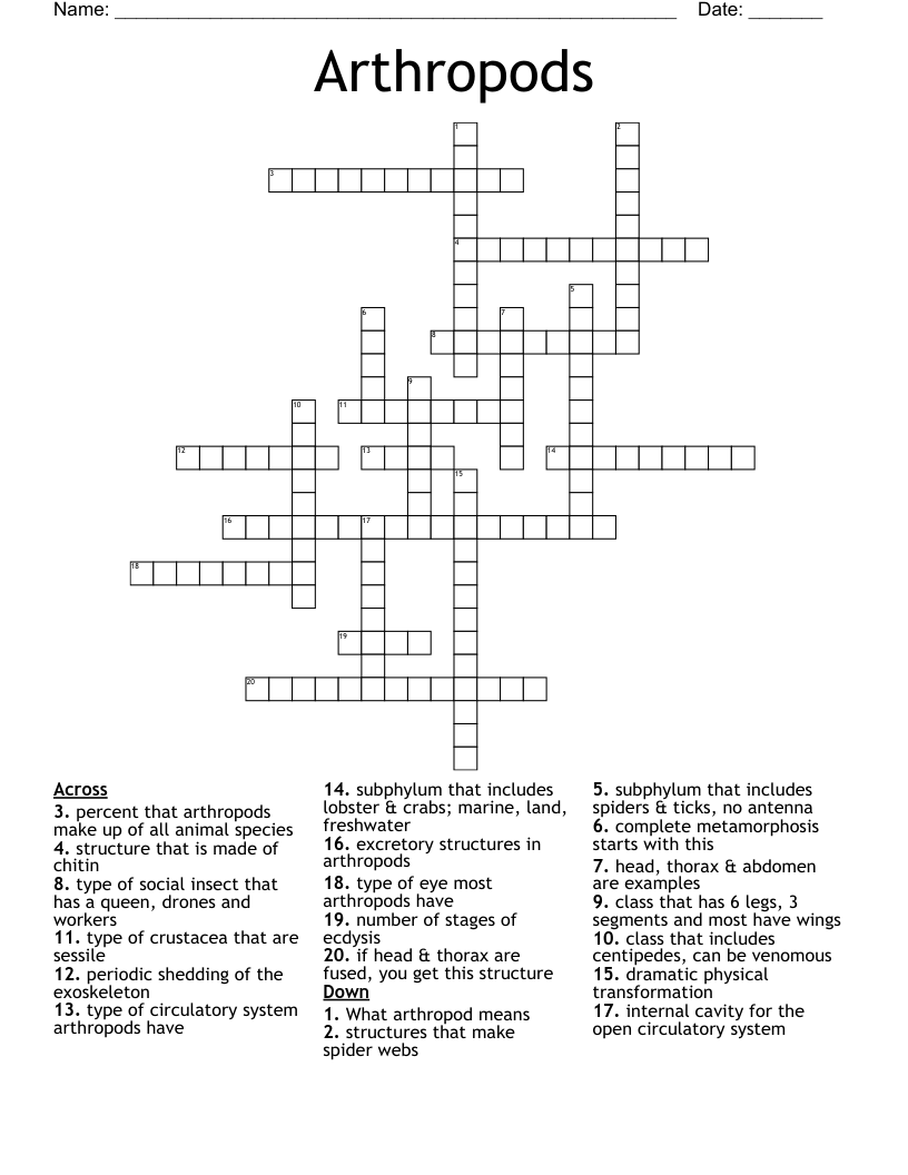 Arthropods Crossword