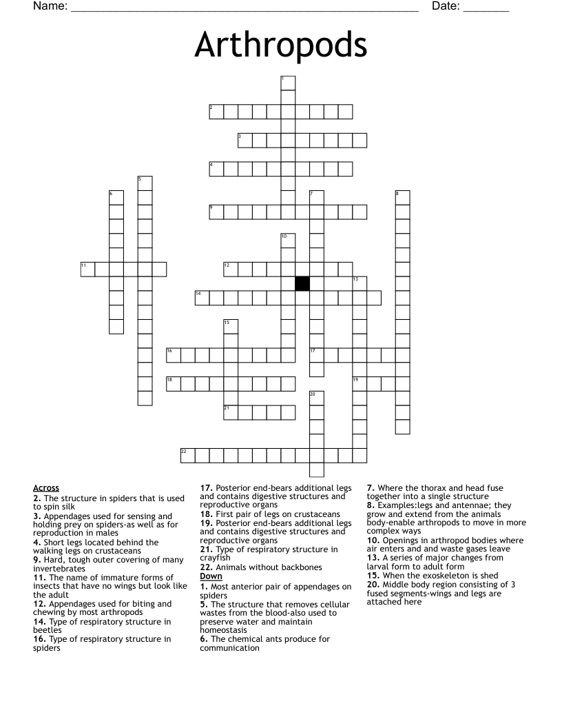 Arthropods Crossword