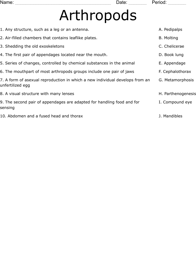 Arthropods  Worksheet