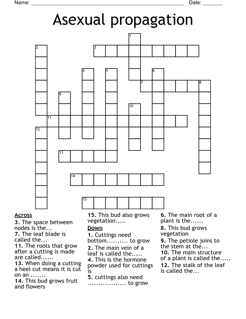 Asexual propagation Crossword