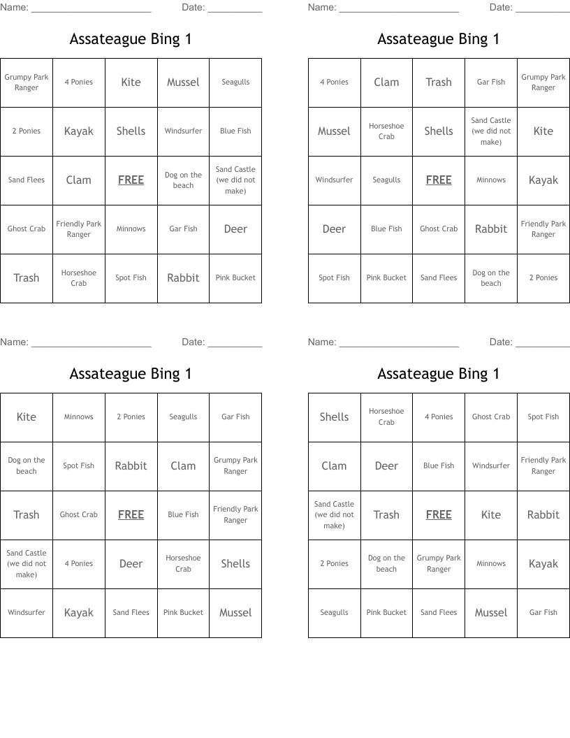 Assateague Bing 1 Bingo Cards
