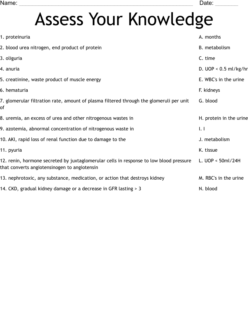 Assess Your Knowledge Worksheet
