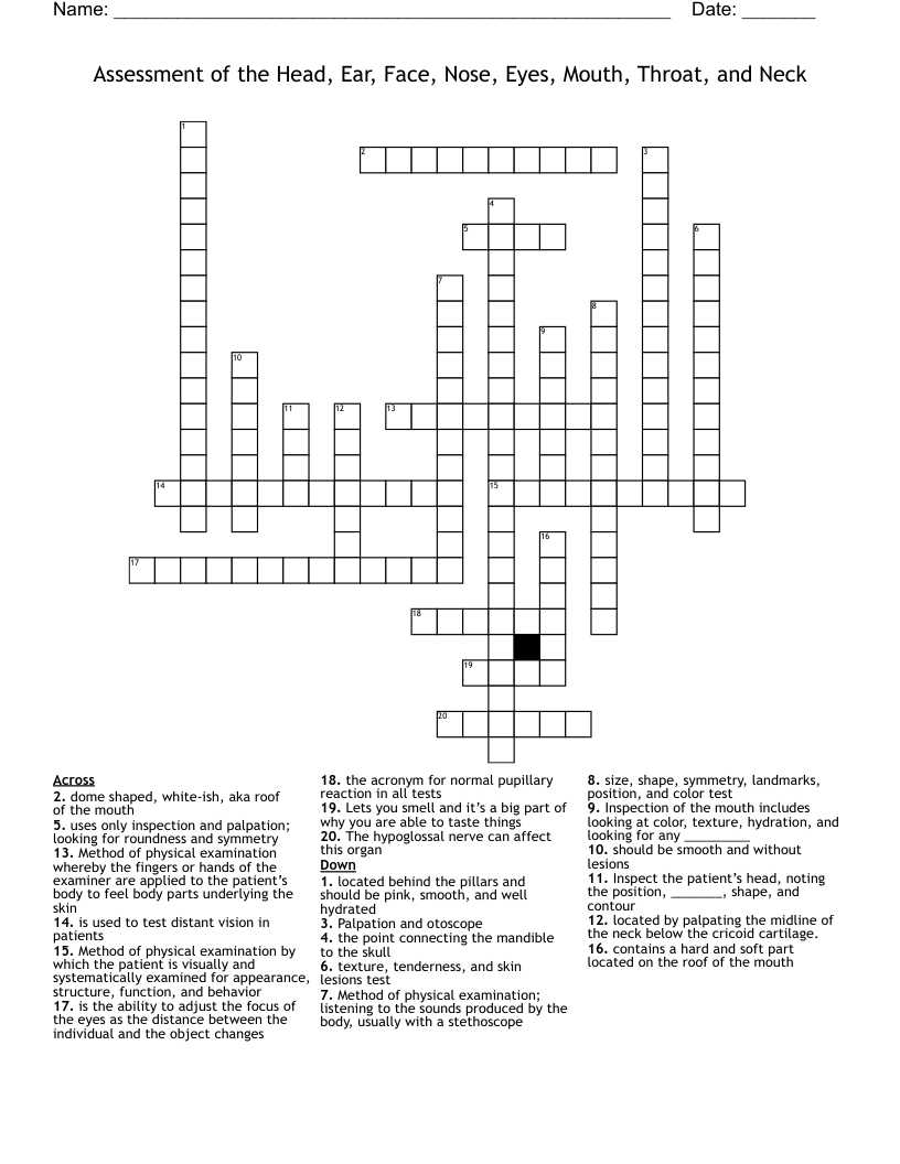 Assessment of the Head, Ear, Face, Nose, Eyes, Mouth, Throat, and Neck Crossword