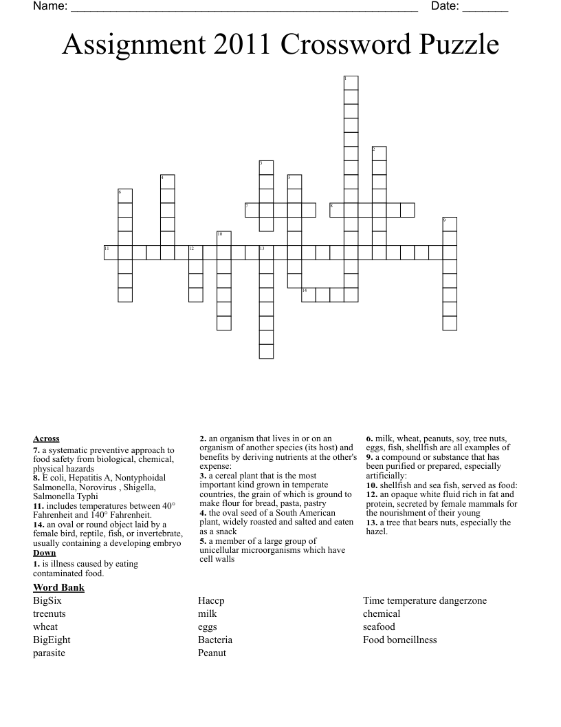 Assignment 2011 Crossword Puzzle 