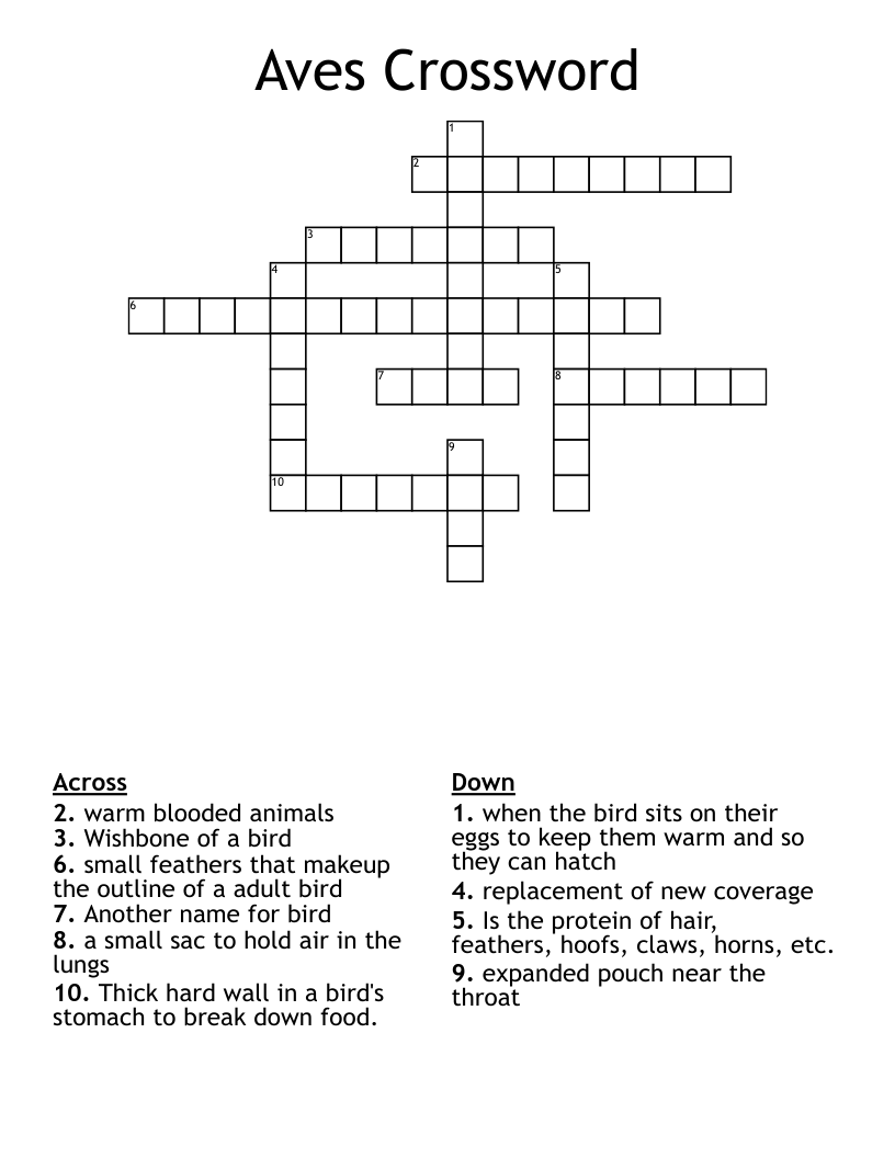 Aves Crossword