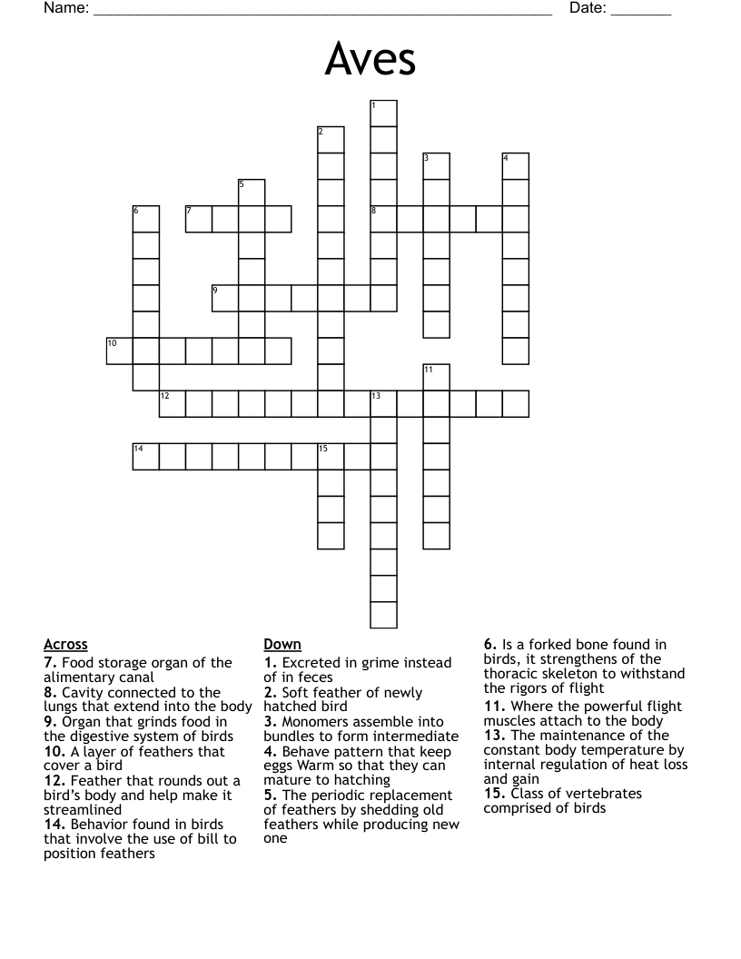 Aves  Crossword