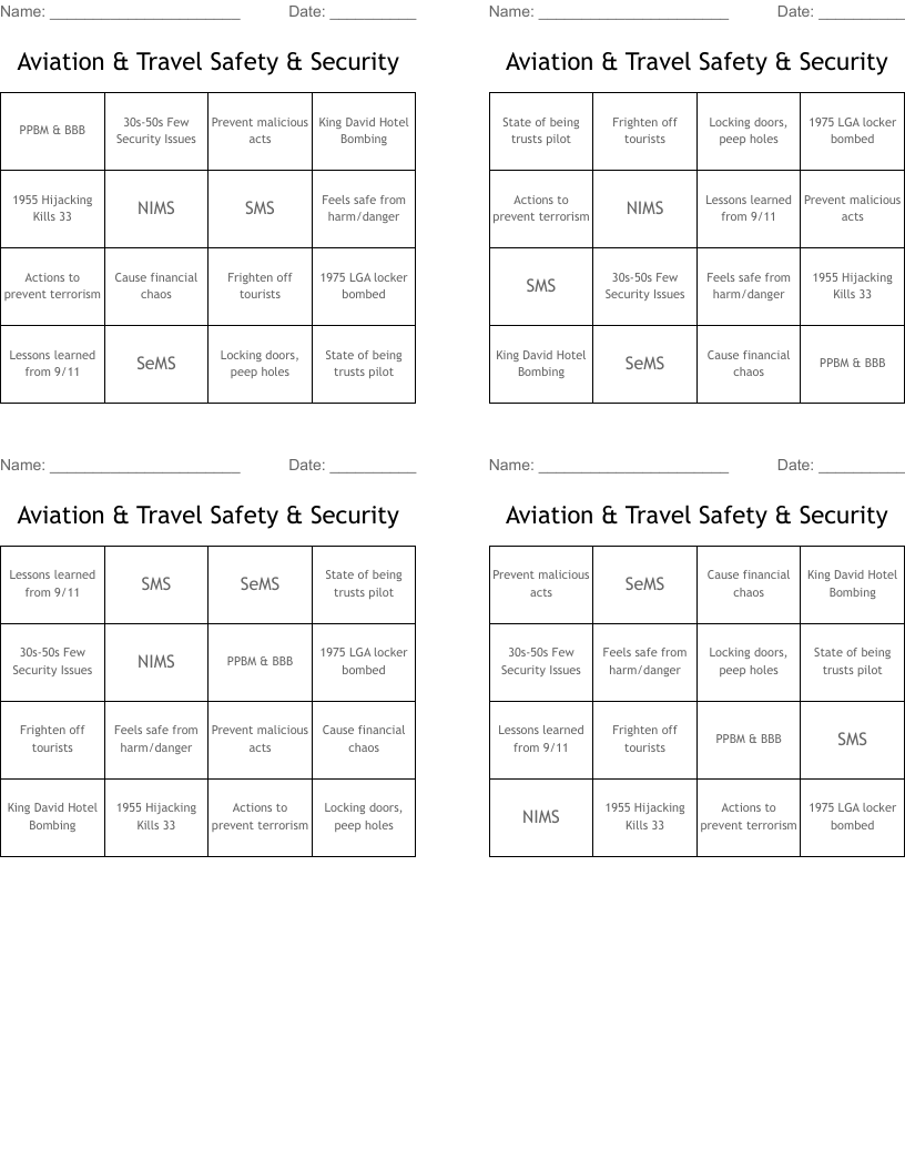 Aviation & Travel Safety & Security Bingo Cards