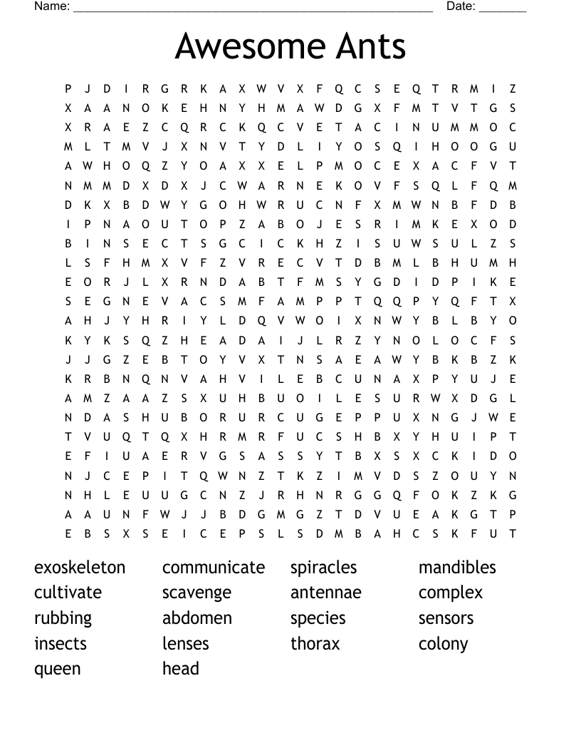 Awesome Ants Word Search
