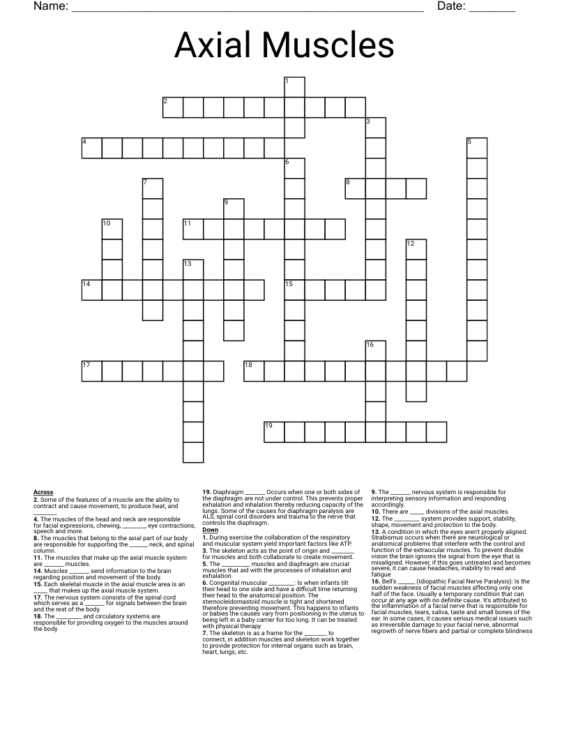 Axial Muscles Crossword
