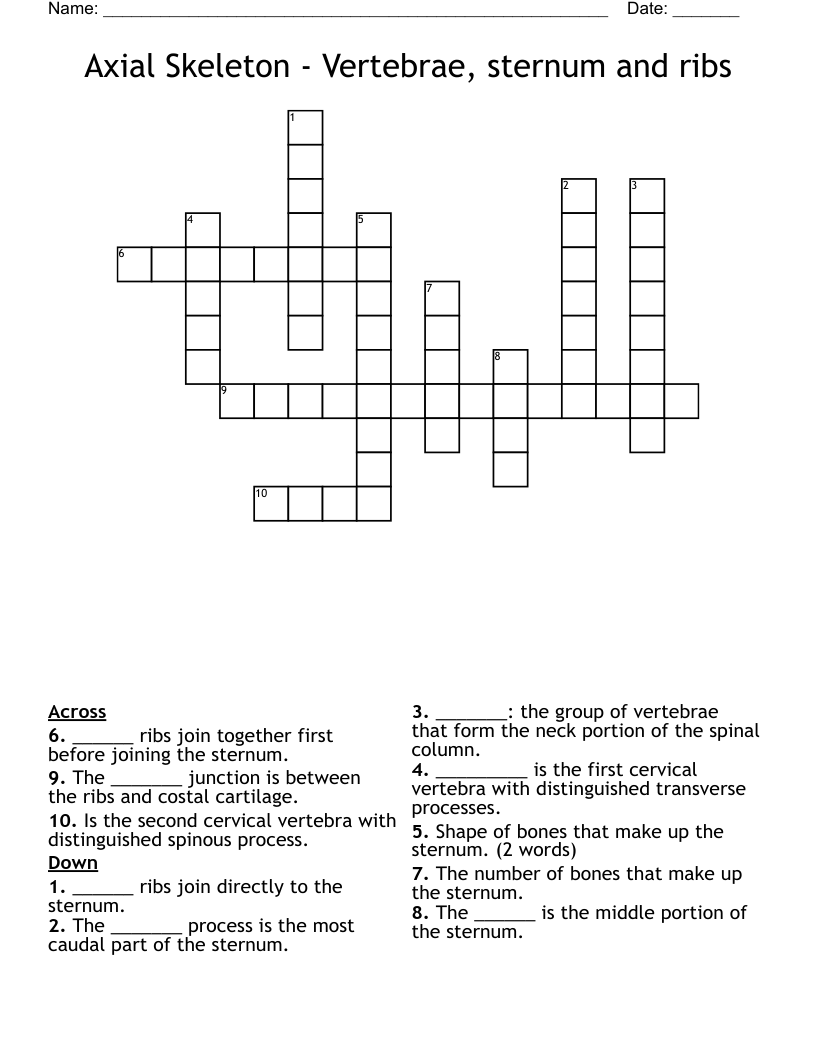 Axial Skeleton - Vertebrae, sternum and ribs Crossword