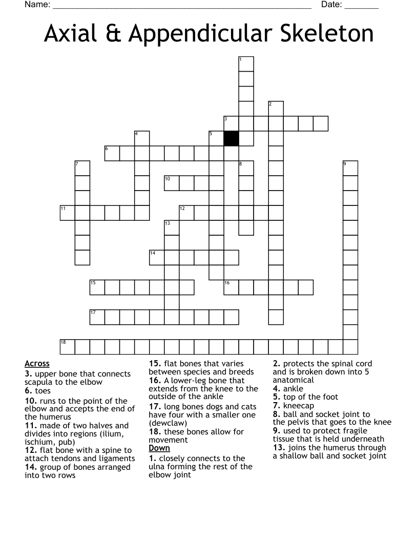 Axial & Appendicular Skeleton Crossword