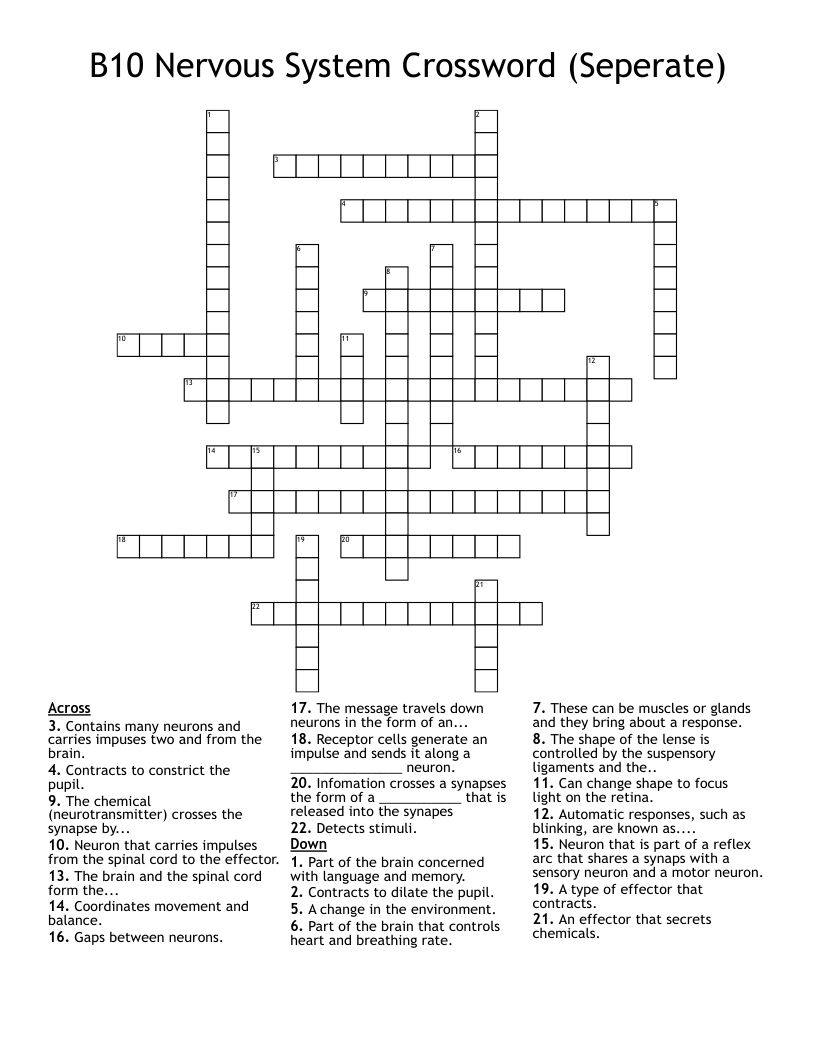 B10 Nervous System Crossword (Seperate) 