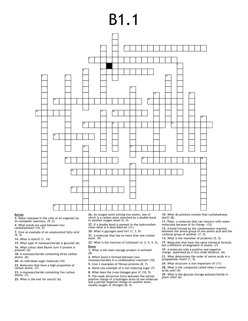 B1.1 Crossword