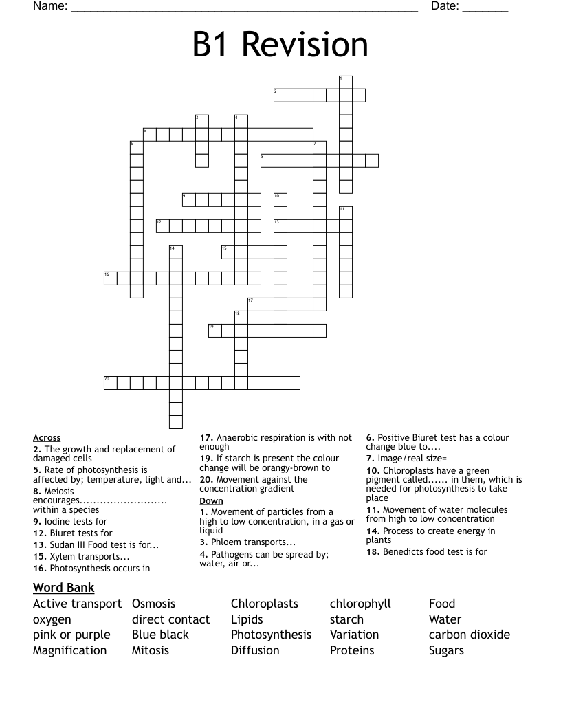 B1 Revision Crossword