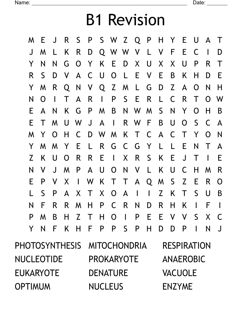 B1 Revision Word Search