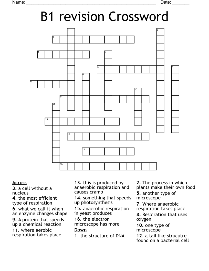 B1 revision Crossword
