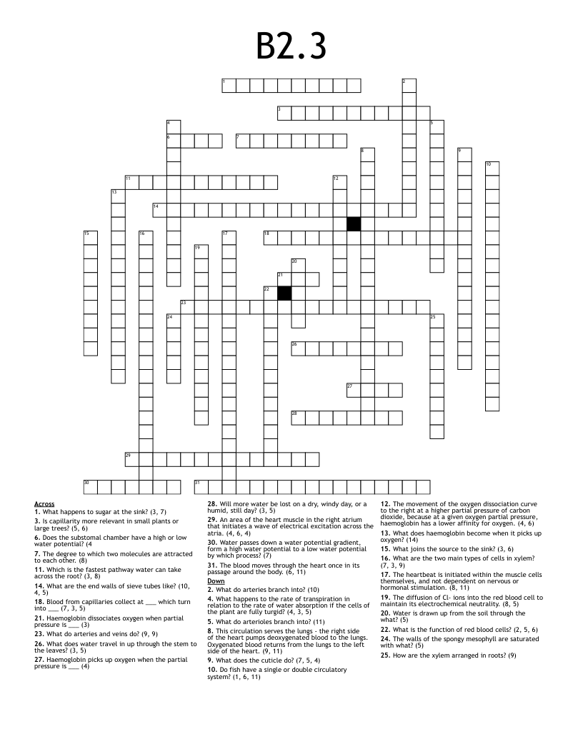 B2.3 Crossword