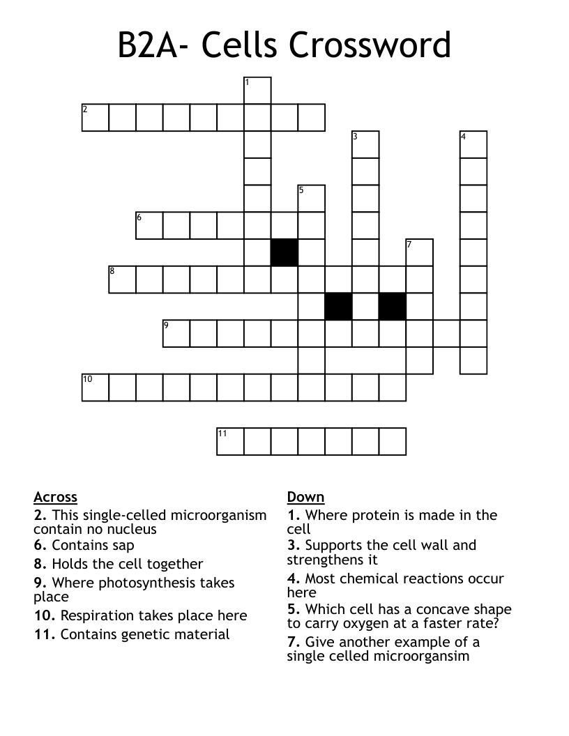 B2A- Cells Crossword