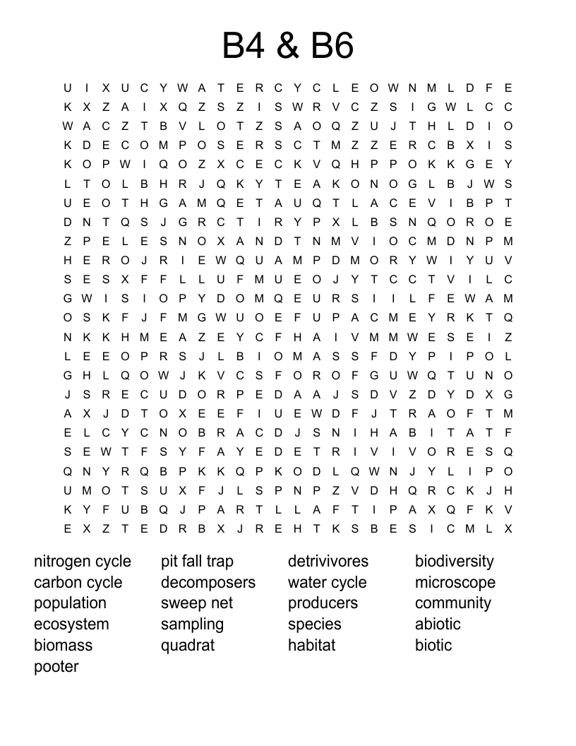B4 & B6 Word Search