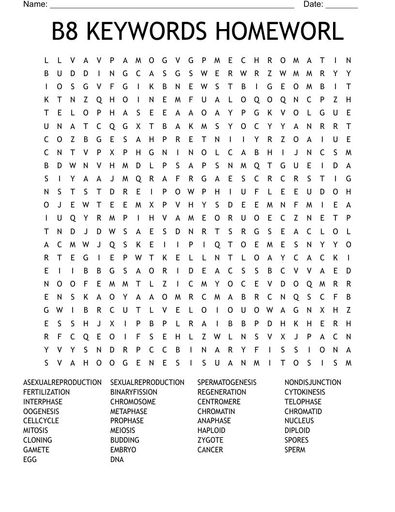 B8 KEYWORDS HOMEWORL Word Search
