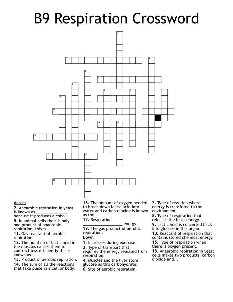B9 Respiration Crossword