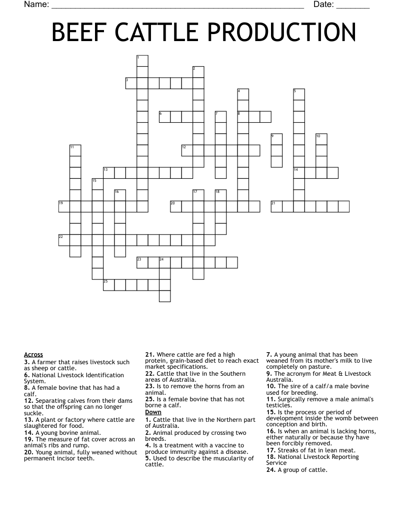 BEEF CATTLE PRODUCTION Crossword