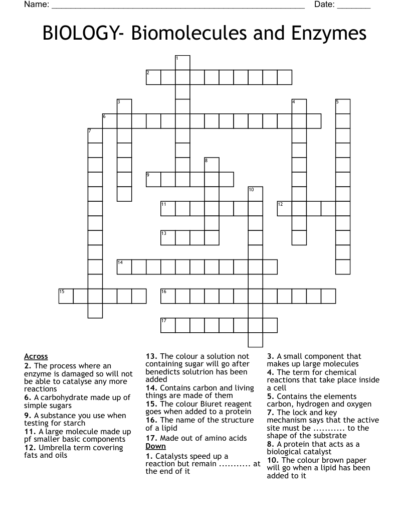 BIOLOGY- Biomolecules and Enzymes Crossword